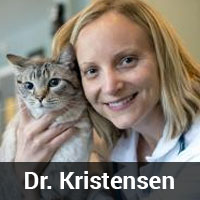 Katie Kristensen, DVM