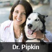 Kelly Pipkin, DVM