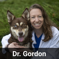 Marissa Gordon, DVM